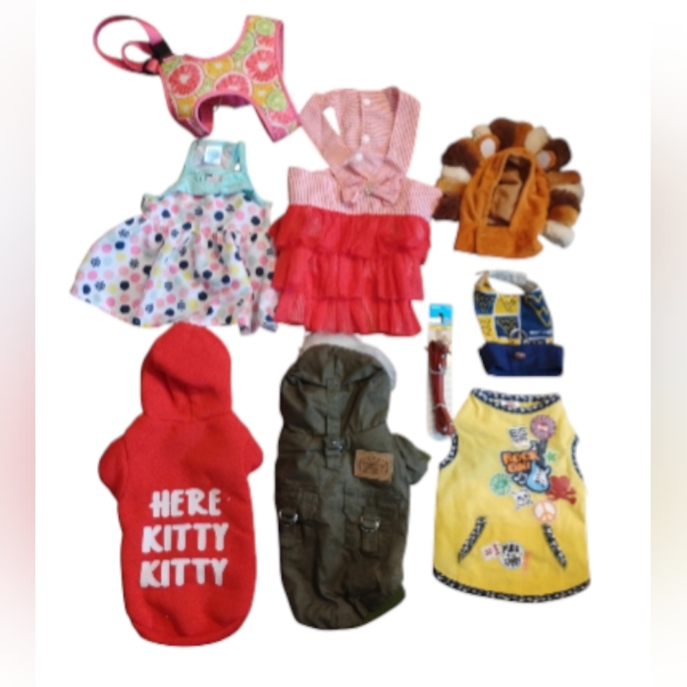 Colorful Pet Clothing Set